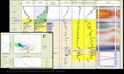 RokDoc 1Dの表示画面一例 RokDoc 1Dの表示画面一例